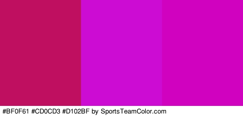 #BF0F61 #CD0CD3 #D102BF Colors