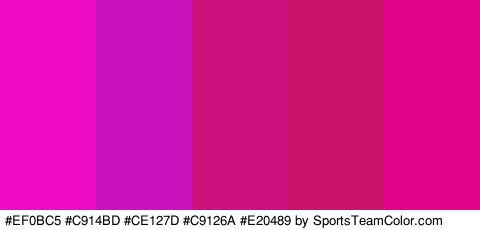 #EF0BC5 #C914BD #CE127D #C9126A #E20489 Colors