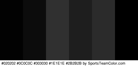 #020202 #0C0C0C #303030 #1E1E1E #2B2B2B #000000 Colors