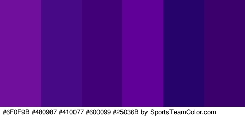 #6F0F9B #480987 #410077 #600099 #25036B #3C006D Colors