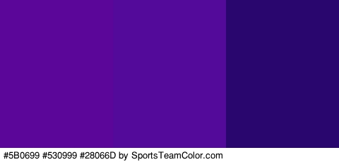 #5B0699 #530999 #28066D Colors