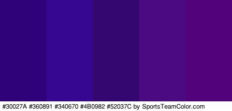 #30027A #360891 #340670 #4B0982 #52037C Colors