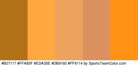 #B27117 #FFA83F #EDA35E #DB9160 #FF9114 Colors