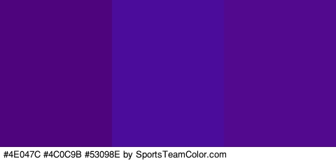 #4E047C #4C0C9B #53098E Colors