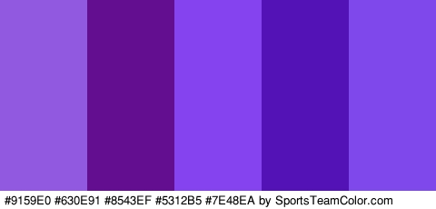 #9159E0 #630E91 #8543EF #5312B5 #7E48EA Colors