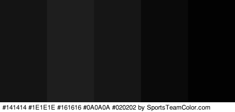 #141414 #1E1E1E #161616 #0A0A0A #020202 Colors