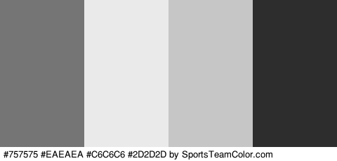 #757575 #EAEAEA #C6C6C6 #2D2D2D Colors