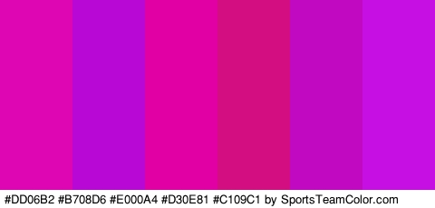 #DD06B2 #B708D6 #E000A4 #D30E81 #C109C1 #C60FE2 Colors