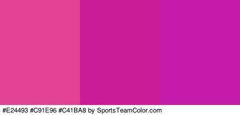 #E24493 #C91E96 #C41BA8 Colors