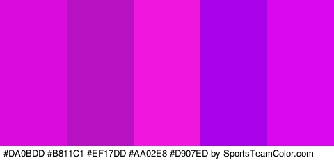 #DA0BDD #B811C1 #EF17DD #AA02E8 #D907ED Colors