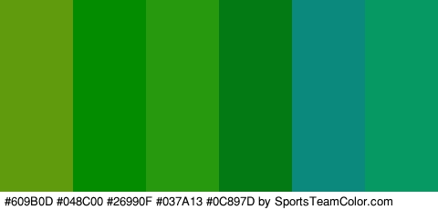 #609B0D #048C00 #26990F #037A13 #0C897D #079963 Colors