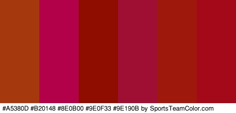 #A5380D #B20148 #8E0B00 #9E0F33 #9E190B #A30919 Colors