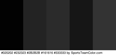 #020202 #232323 #2B2B2B #161616 #333333 Colors