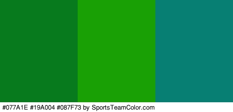 #077A1E #19A004 #087F73 Colors