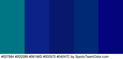 #007584 #0D2289 #08196D #002975 #04047C Colors