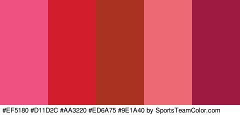 #EF5180 #D11D2C #AA3220 #ED6A75 #9E1A40 Colors