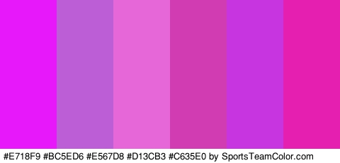 #E718F9 #BC5ED6 #E567D8 #D13CB3 #C635E0 #E520B0 Colors