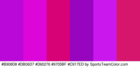 #B908D8 #DB06D7 #D60276 #9705BF #C917ED #D6156C Colors