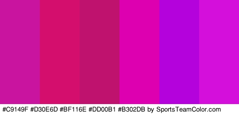 #C9149F #D30E6D #BF116E #DD00B1 #B302DB #D40FDB Colors