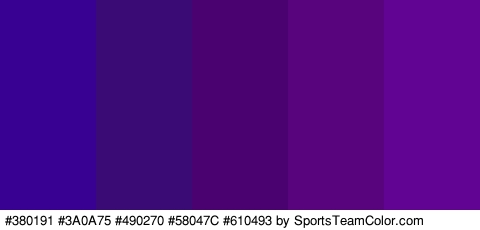 #380191 #3A0A75 #490270 #58047C #610493 Colors