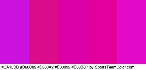 #CA13DB #D60C89 #D800A2 #E00099 #E00BC7 Colors