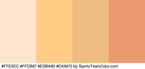 #FFE5CC #FFCB87 #EDBA80 #EA9970 Colors