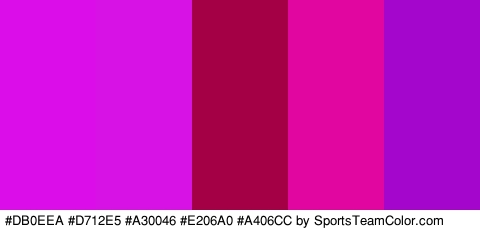 #DB0EEA #D712E5 #A30046 #E206A0 #A406CC Colors