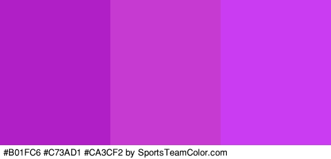 #B01FC6 #C73AD1 #CA3CF2 Colors