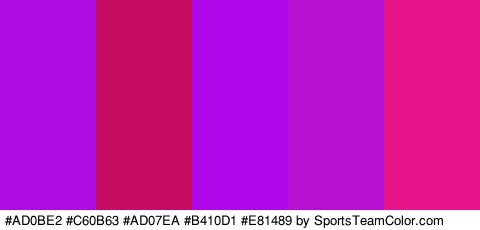 #AD0BE2 #C60B63 #AD07EA #B410D1 #E81489 Colors