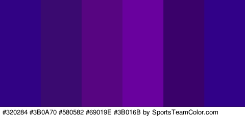 #320284 #3B0A70 #580582 #69019E #3B016B #310287 Colors