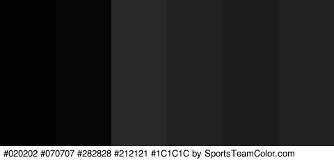 #020202 #070707 #282828 #212121 #1C1C1C #212121 Colors