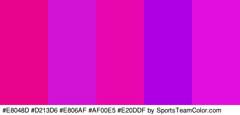 #E8048D #D213D6 #E806AF #AF00E5 #E20DDF Colors