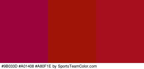 #9B033D #A01408 #A80F1E Colors