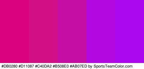 #DB0280 #D11087 #C40DA2 #B508E0 #AB07ED Colors