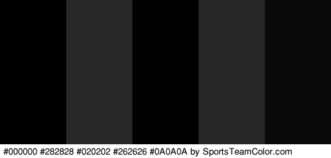 #000000 #282828 #020202 #262626 #0A0A0A Colors