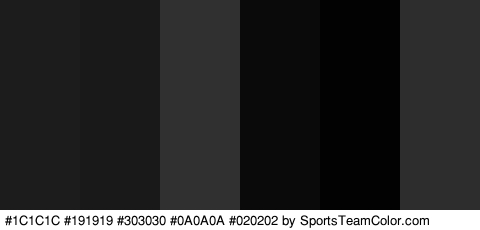 #1C1C1C #191919 #303030 #0A0A0A #020202 #2D2D2D Colors