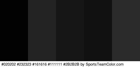 #020202 #232323 #161616 #111111 #2B2B2B Colors