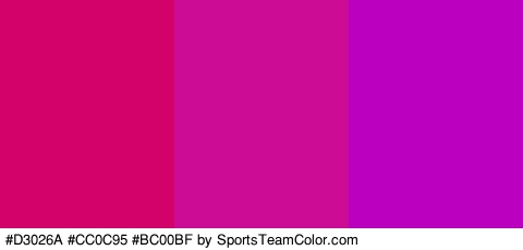 #D3026A #CC0C95 #BC00BF Colors