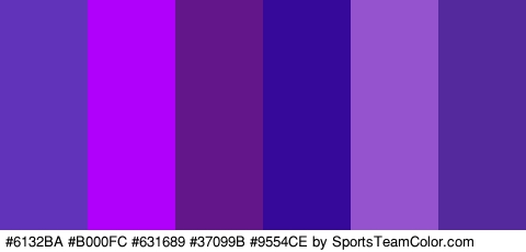 #6132BA #B000FC #631689 #37099B #9554CE #54299E Colors