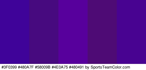 #3F0399 #480A7F #58009B #4E0A75 #480491 Colors