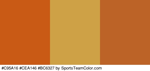 #C95A16 #CEA146 #BC6327 Colors