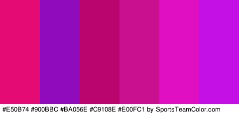 #E50B74 #900BBC #BA056E #C9108E #E00FC1 #C510E5 Colors