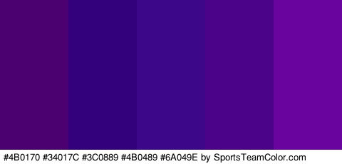 #4B0170 #34017C #3C0889 #4B0489 #6A049E Colors