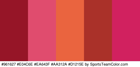 #961627 #E04C6E #EA643F #AA312A #D1215E Colors