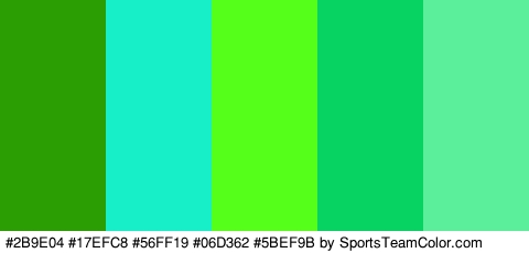 #2B9E04 #17EFC8 #56FF19 #06D362 #5BEF9B Colors