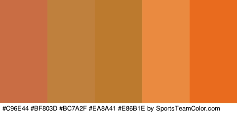 #C96E44 #BF803D #BC7A2F #EA8A41 #E86B1E Colors