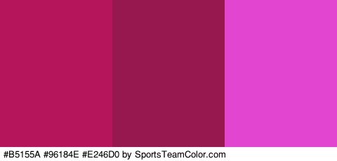 #B5155A #96184E #E246D0 Colors