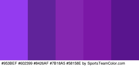 #953BEF #602399 #8426AF #7B18A5 #58158E Colors