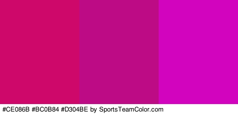 #CE086B #BC0B84 #D304BE Colors