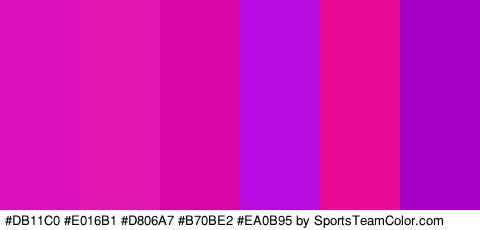 #DB11C0 #E016B1 #D806A7 #B70BE2 #EA0B95 #A500C6 Colors